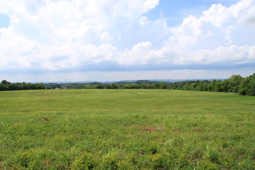 0 New Union Road, Unit 7 Dayton, TN 37321 - Photo 4 of 5 Lot 7