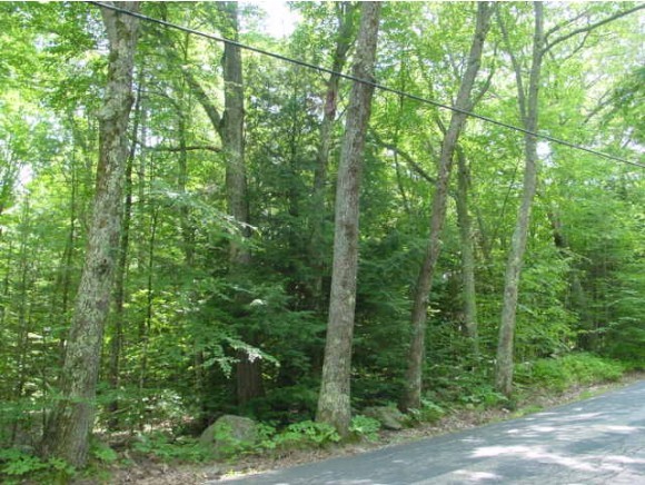 0 West West Lake Road Fitzwilliam, NH 03447 - Photo 3 of 13