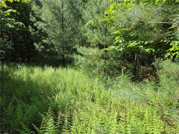 $85,000 | 7399 Pennysettlement Road, Lyonsdale, NY 13433