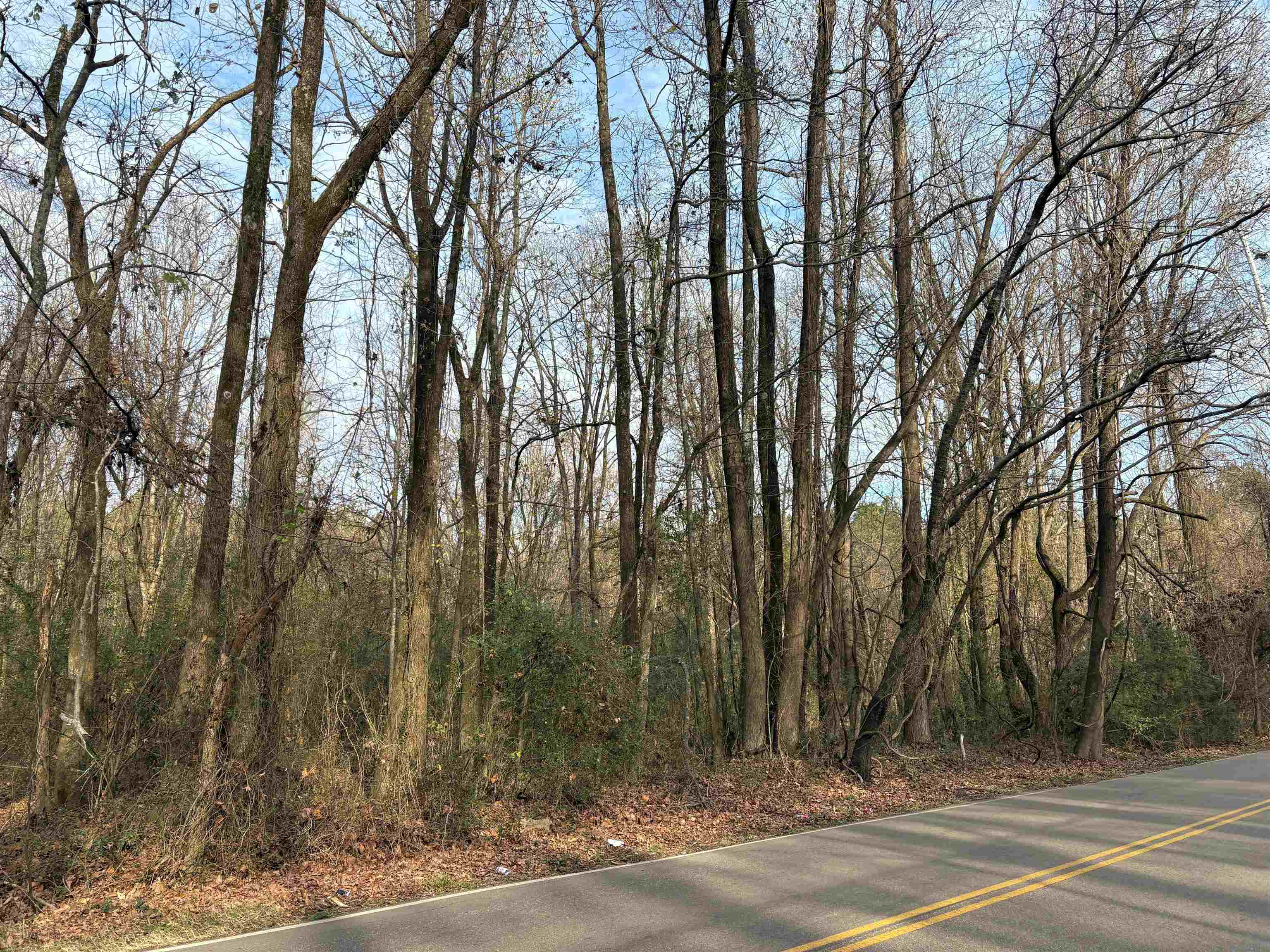 0 Old Millington Road Memphis, TN 38127 - Photo 2 of 7