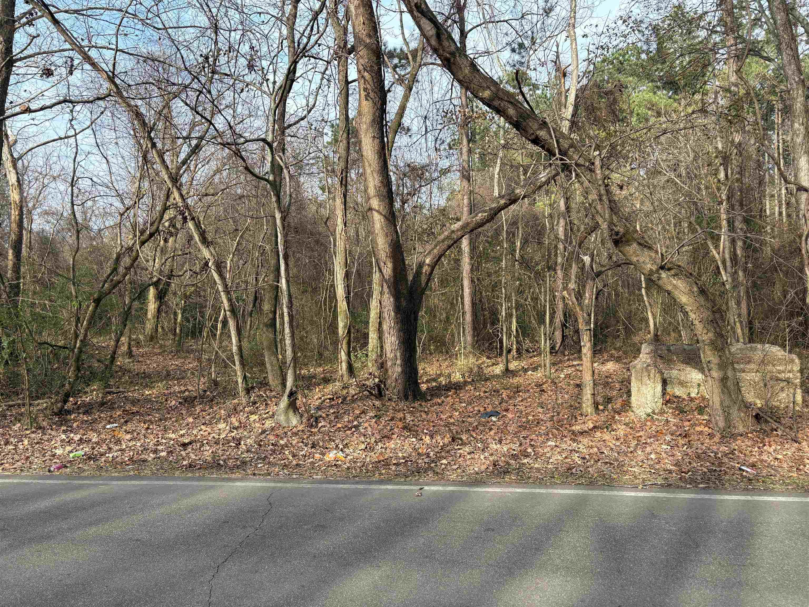 0 Old Millington Road Memphis, TN 38127 - Photo 6 of 7