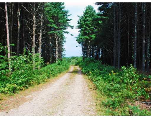 40 B Colley Hill Road Gray, ME 04039 - Photo 10 of 10 Other. Drive into the lots