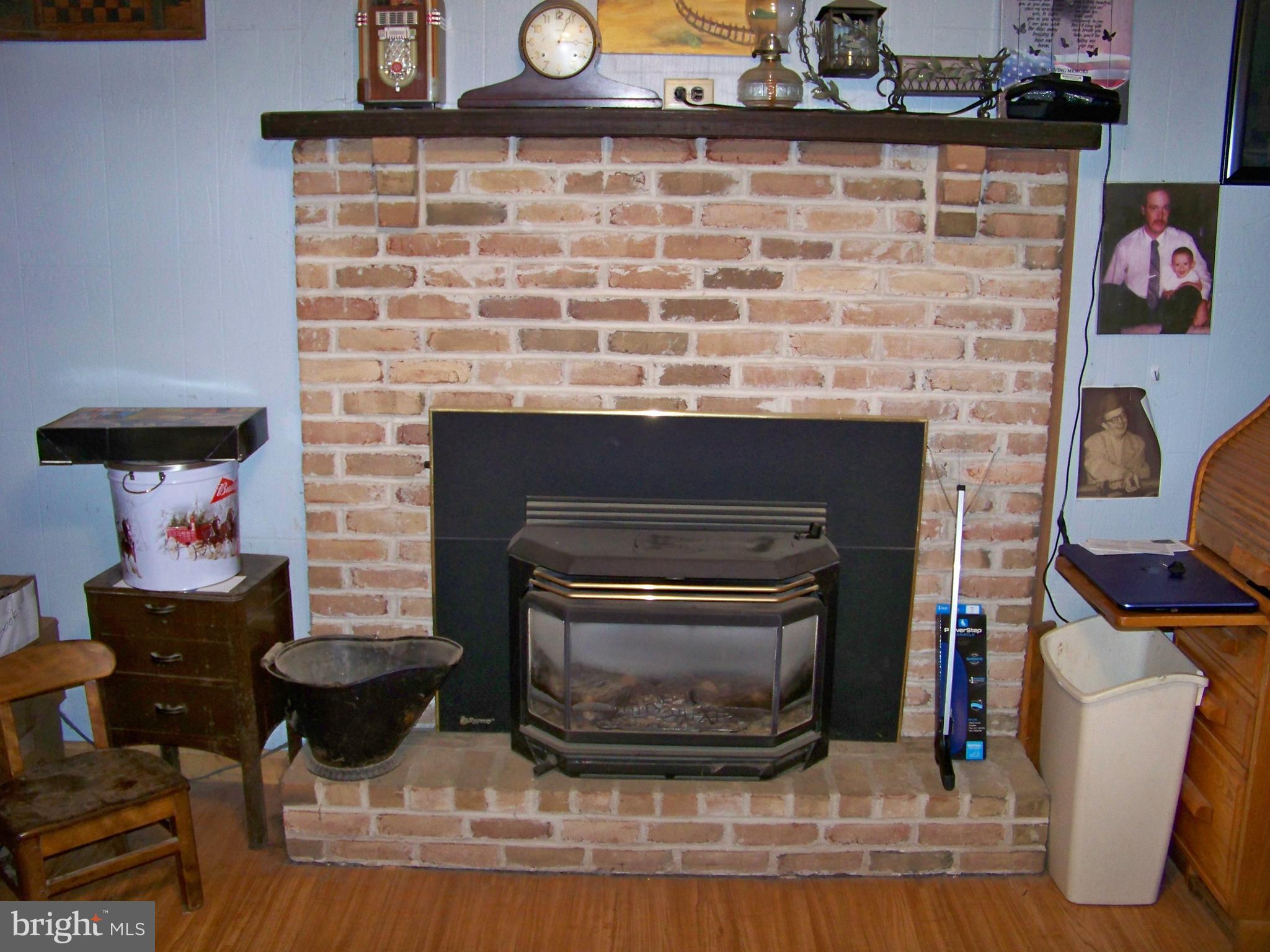 148 Reservoir Road Strasburg, PA 17579 - Photo 5 of 13 Lower Level Propane Fireplace