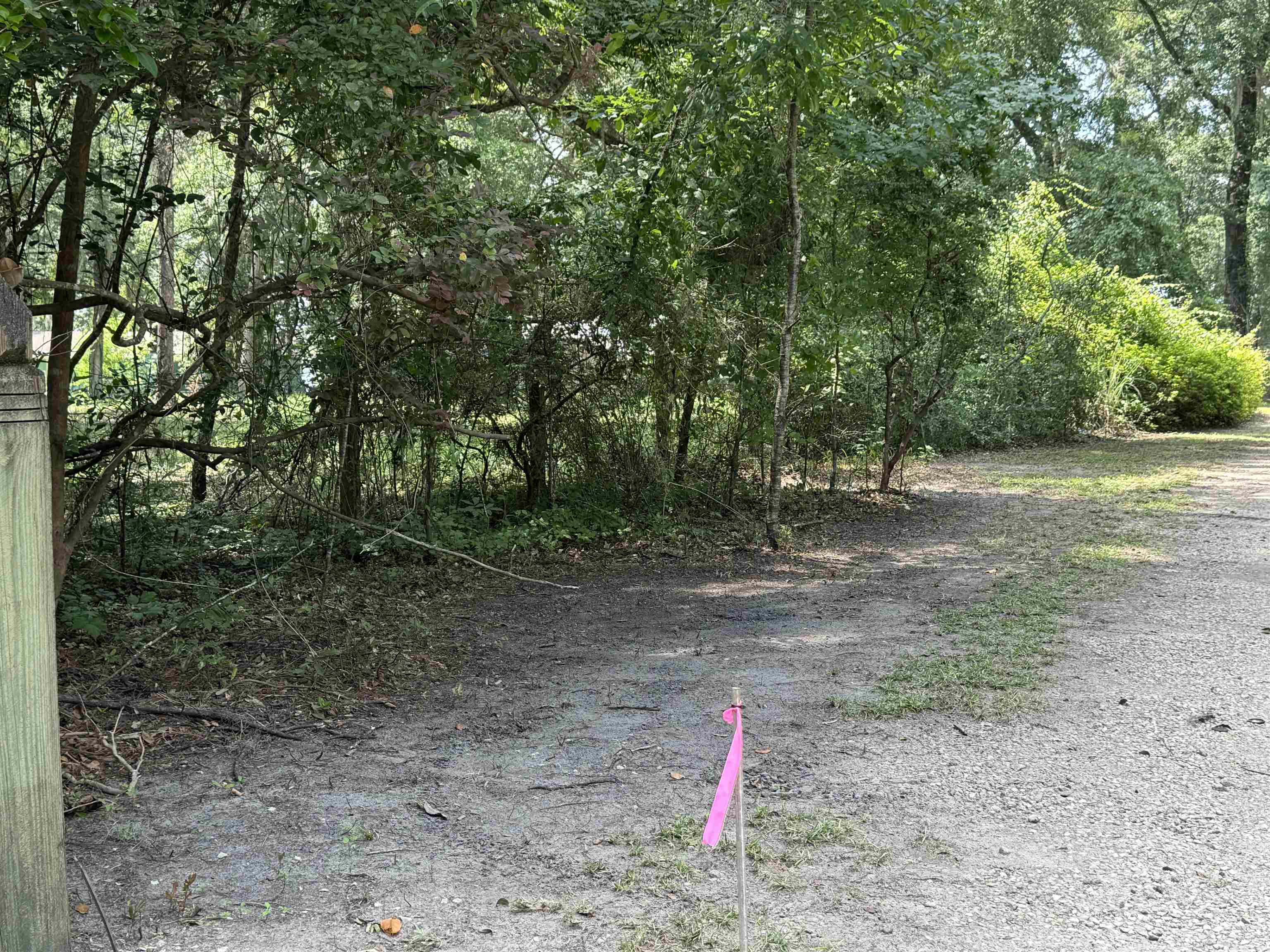 Parramore Shores Road Tallahassee, FL 32310 - Photo 12 of 31