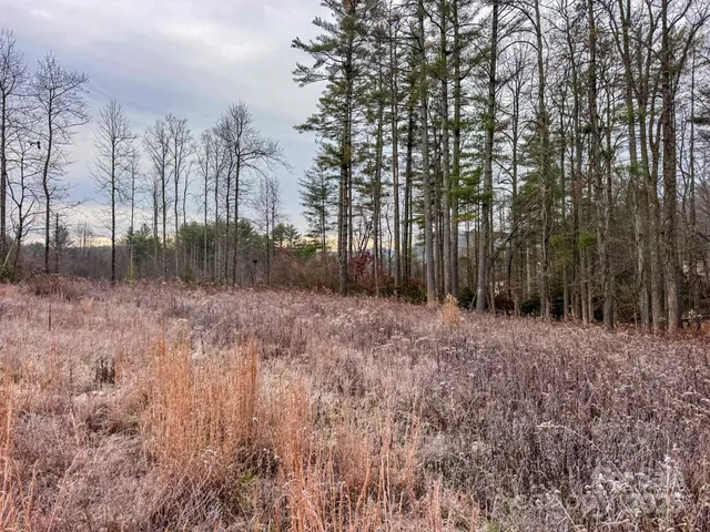 $159,000 | 0 Crystal Mountain Drive, Unit 14, Hendersonville, NC 28739