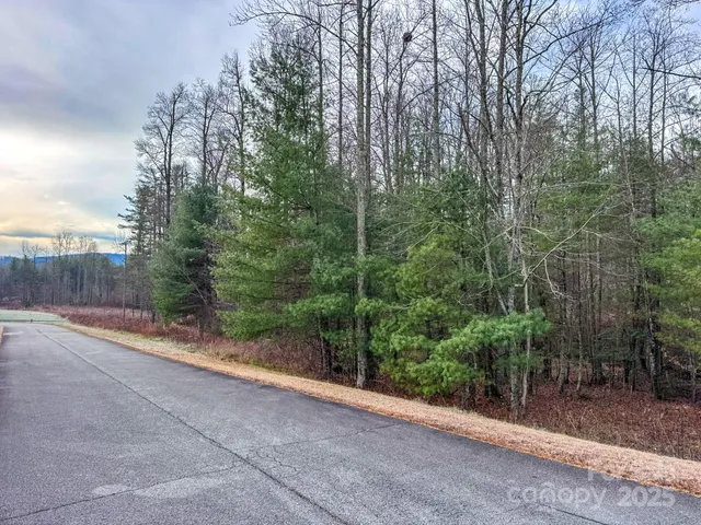 $159,000 | 0 Crystal Mountain Drive, Unit 14, Hendersonville, NC 28739