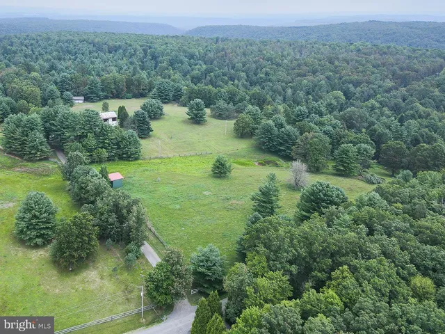 a view of a green yard with large trees