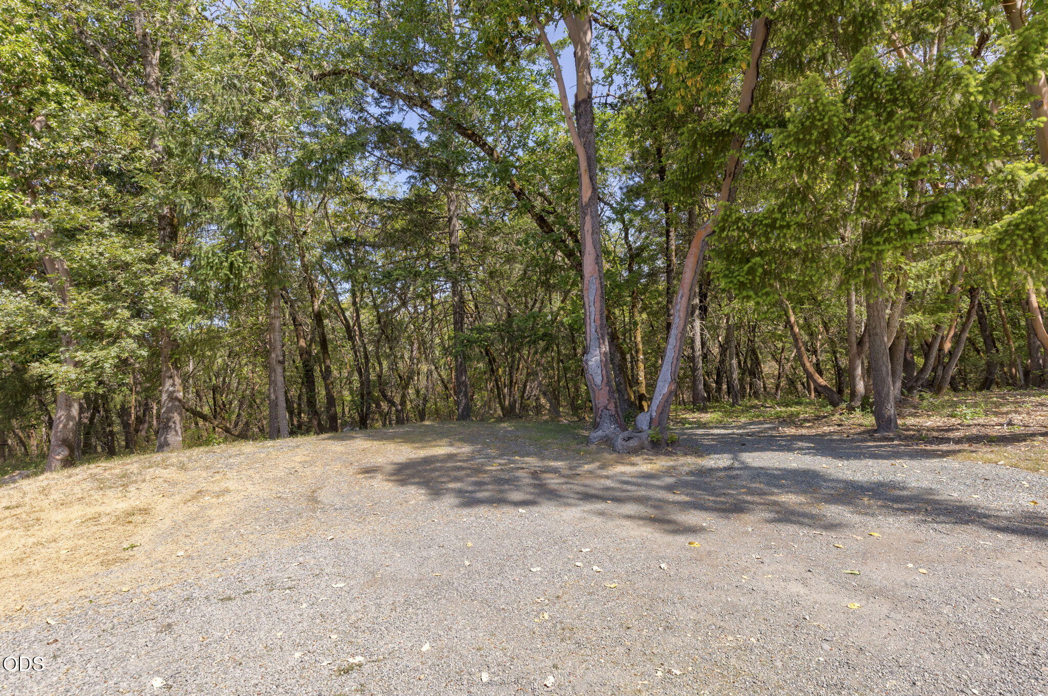 343 High Ridge Terrace Grants Pass, OR 97526 - Photo 53 of 62