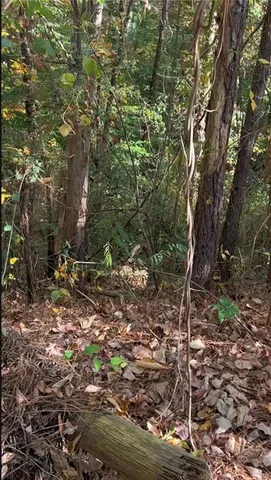 $64,980 | 0 Governors Walk Drive, Canton, GA 30115