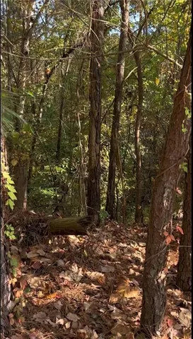 $64,980 | 0 Governors Walk Drive, Canton, GA 30115