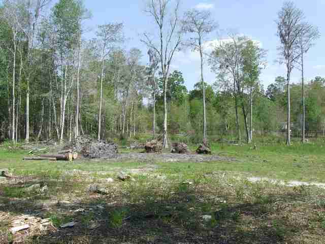 841 7 Bridges Road Monticello, FL 32344 - Photo 6 of 8 Gallery Image 6