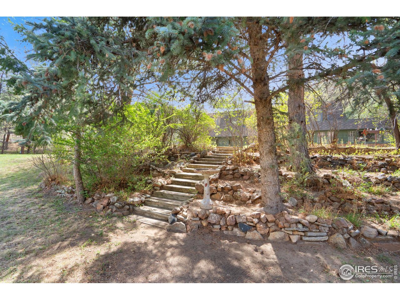 7301 Poudre Canyon Road Bellvue, CO 80512 - Photo 35 of 41 a view of outdoor space with trees