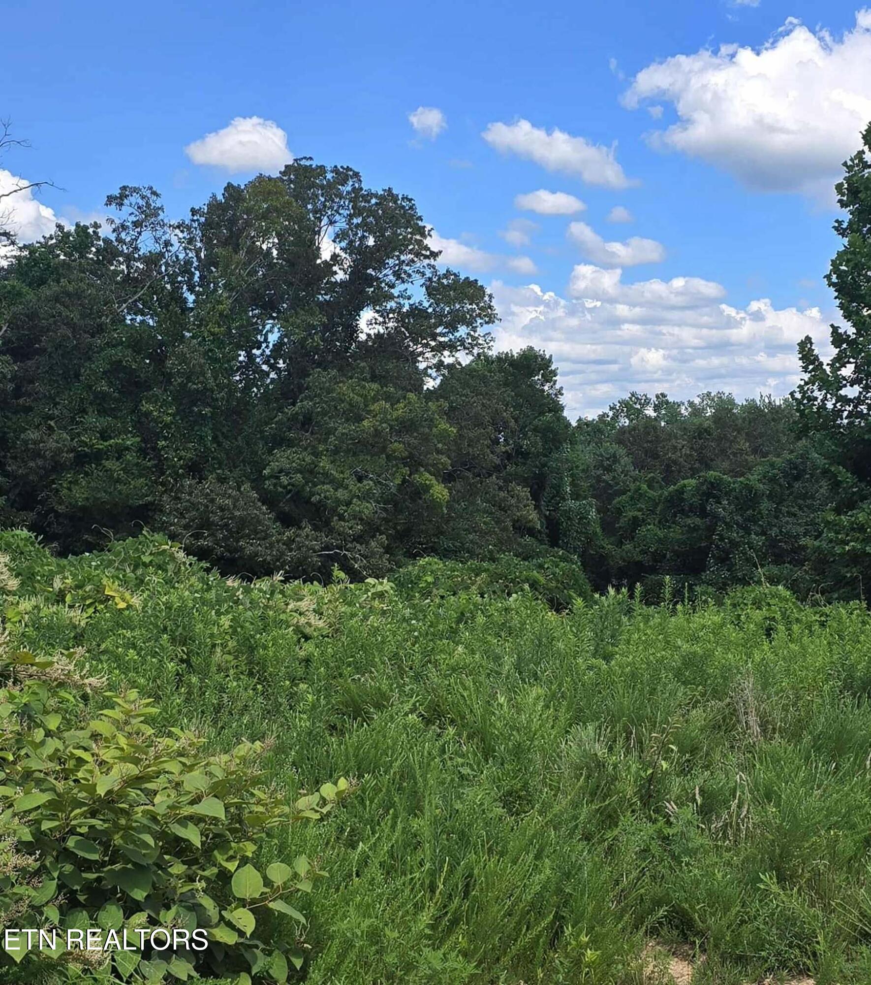 52 Paint Rock Ferry Road Kingston, TN 37763 - Photo 1 of 8 517596460_768715455602738_40547230827035