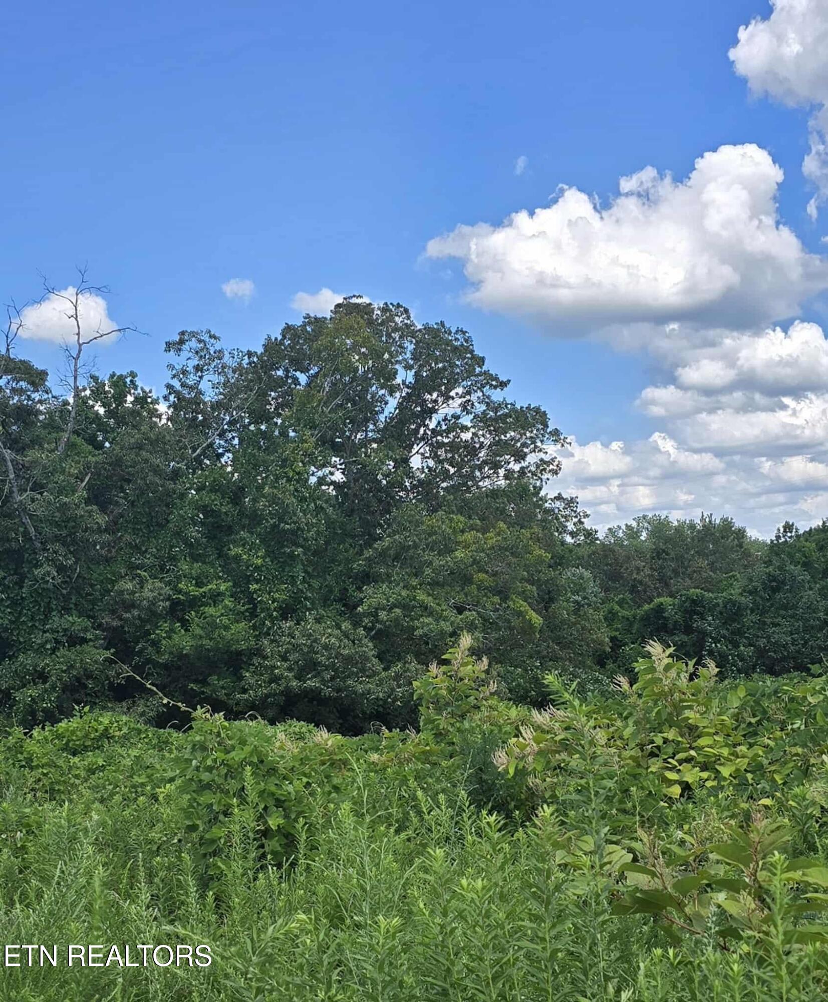 52 Paint Rock Ferry Road Kingston, TN 37763 - Photo 6 of 8 518948557_2235871400164747_8861002920043