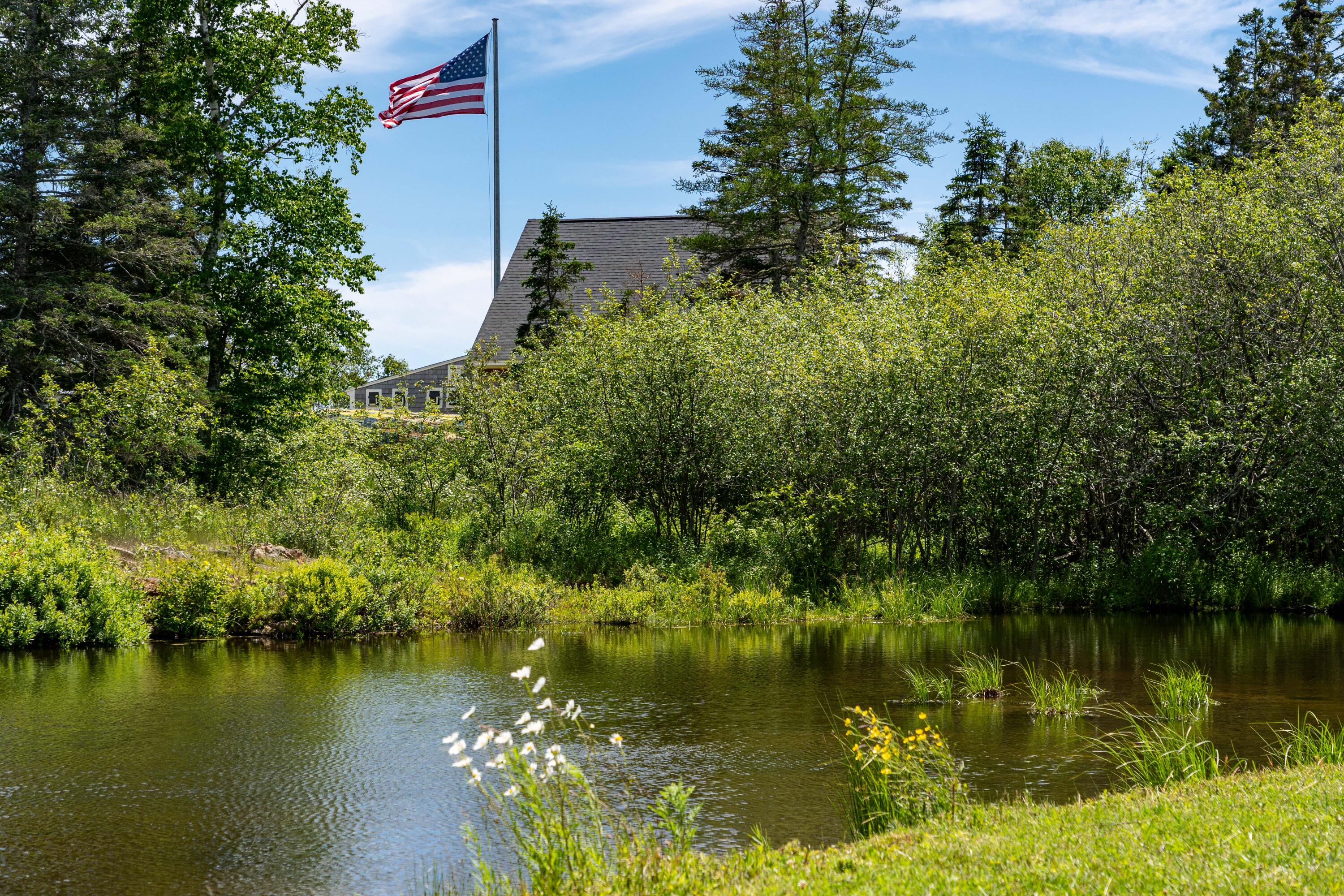 197 North Shore Road North Haven, ME 04853 - Photo 3 of 57 DSC03501