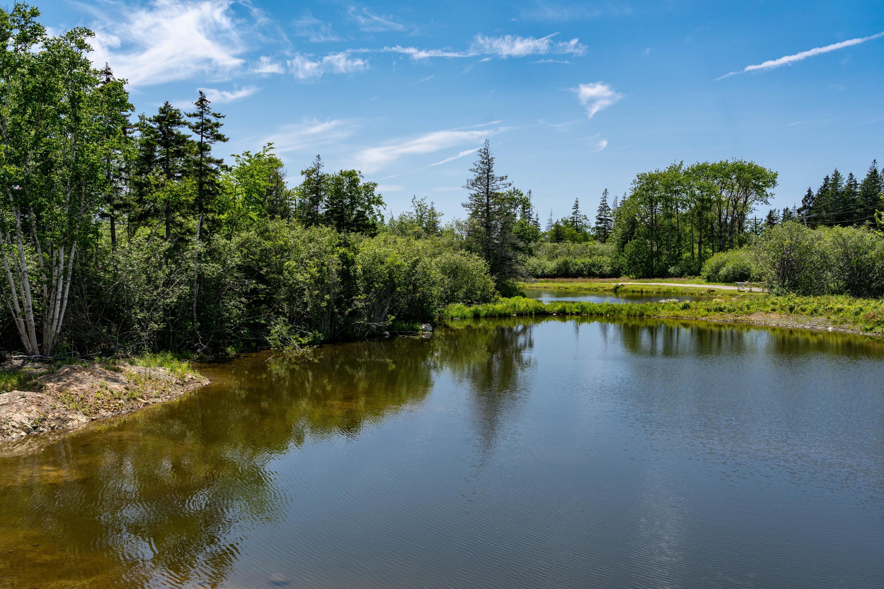 197 North Shore Road North Haven, ME 04853 - Photo 40 of 57 DSC03538