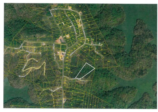 0 Goose Road Celina, TN 38551 - Photo 17 of 20