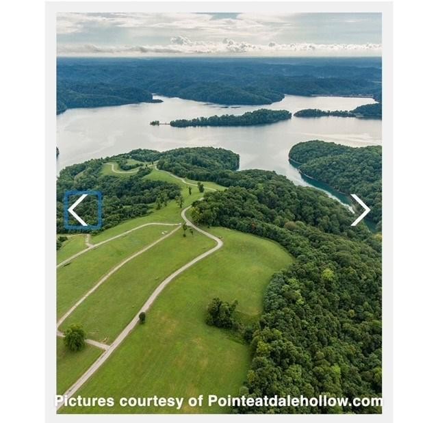 0 Goose Road Celina, TN 38551 - Photo 2 of 20 a view of a tennis court