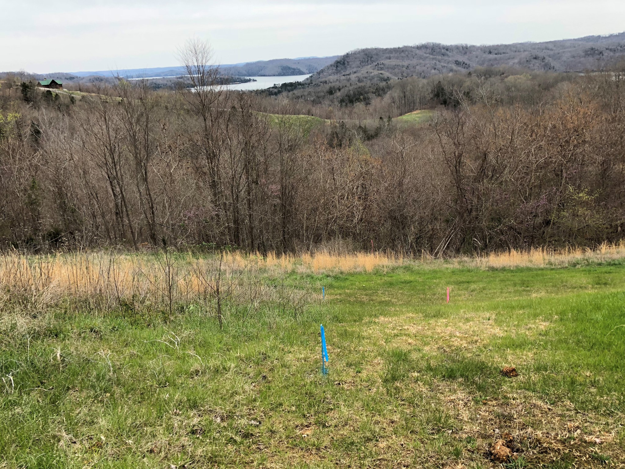 0 Goose Road Celina, TN 38551 - Photo 3 of 20 a view of outdoor space with green field and trees