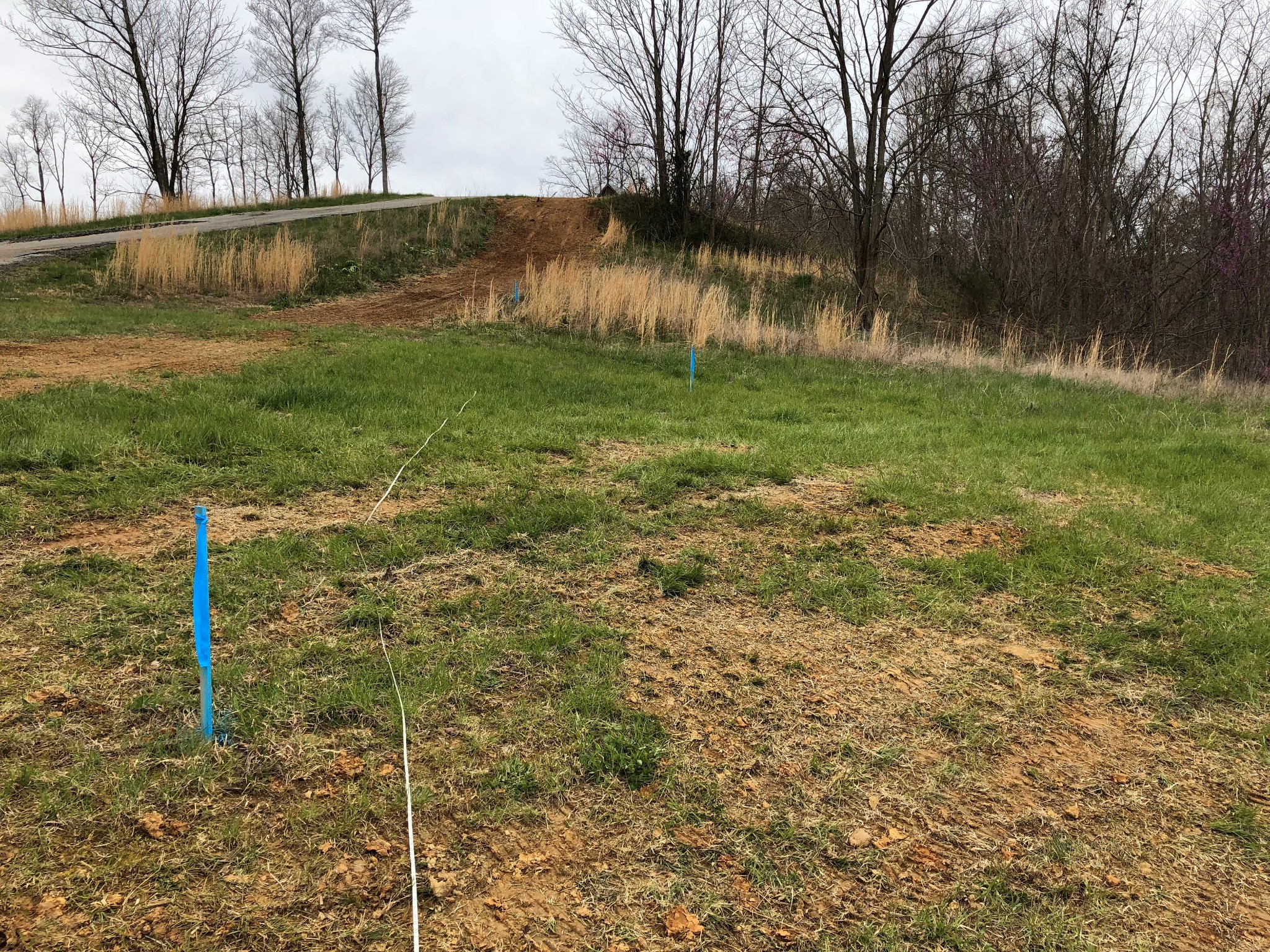 0 Goose Road Celina, TN 38551 - Photo 4 of 20 a view of a yard