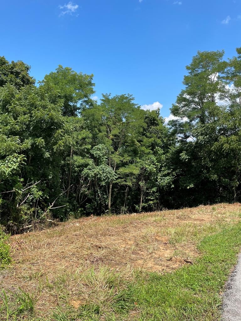 0 Goose Road Celina, TN 38551 - Photo 6 of 20 a view of wall covered with snow