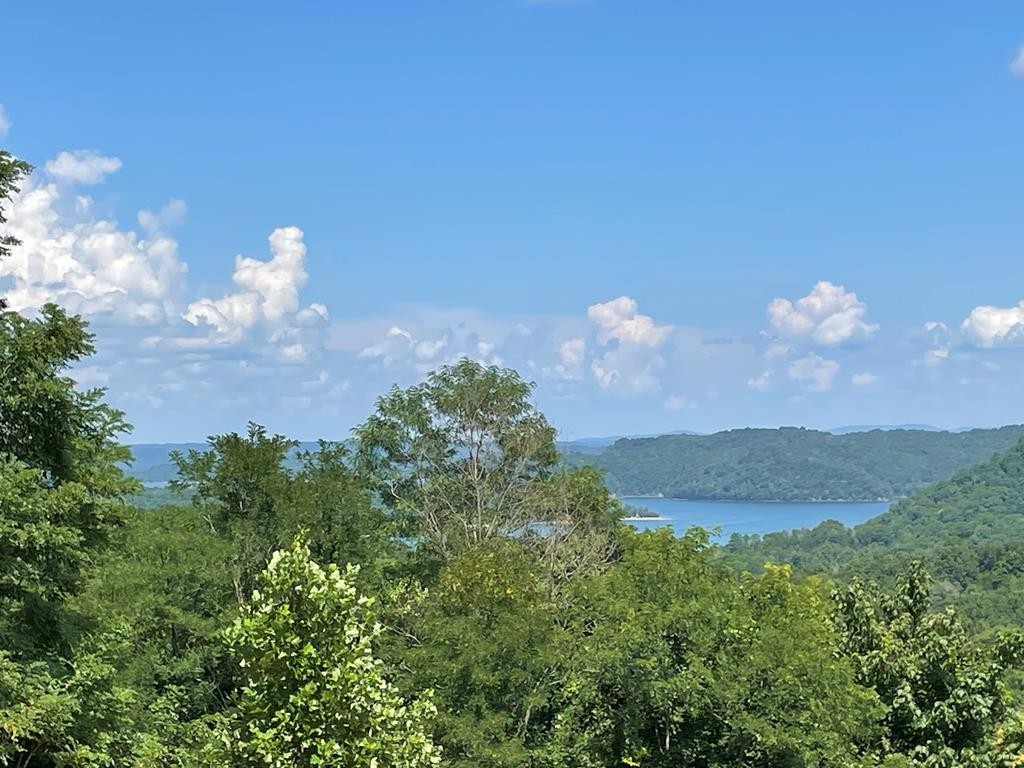 0 Goose Road Celina, TN 38551 - Photo 8 of 20 a view of a flower in a field