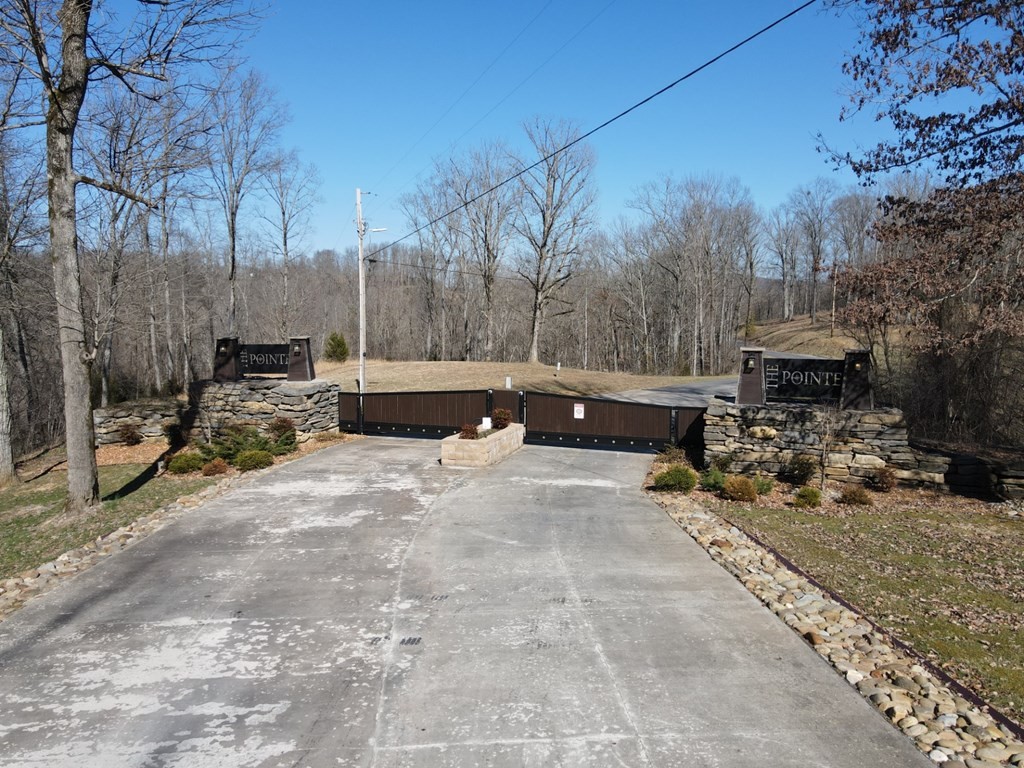 0 Goose Road Celina, TN 38551 - Photo 10 of 20 a view of backyard with table and chairs and potted plants