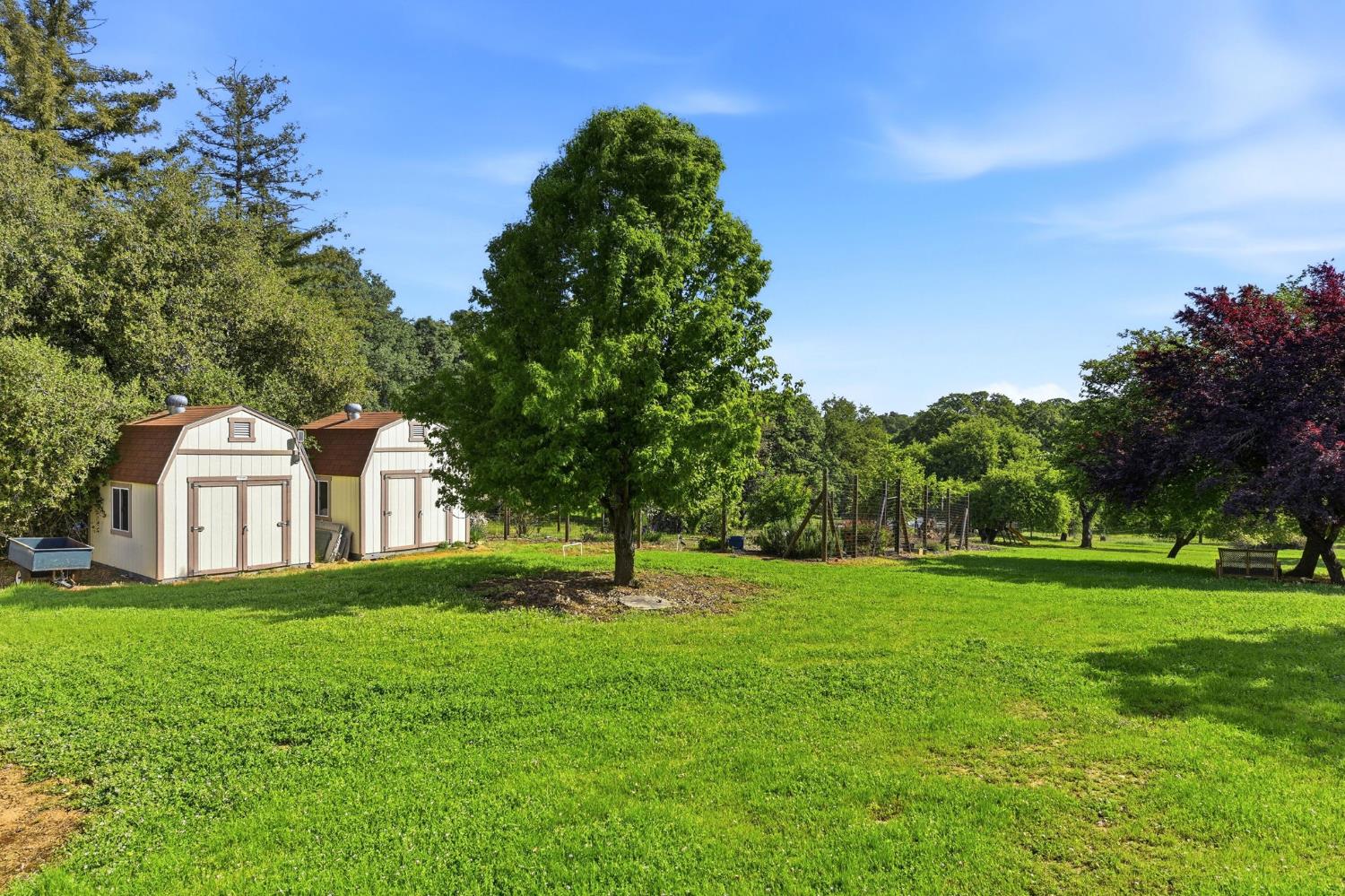 1790 Deer Valley Road Rescue, CA 95672 - Photo 11 of 83