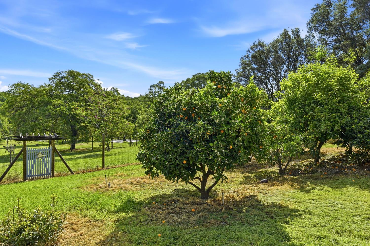 1790 Deer Valley Road Rescue, CA 95672 - Photo 62 of 83