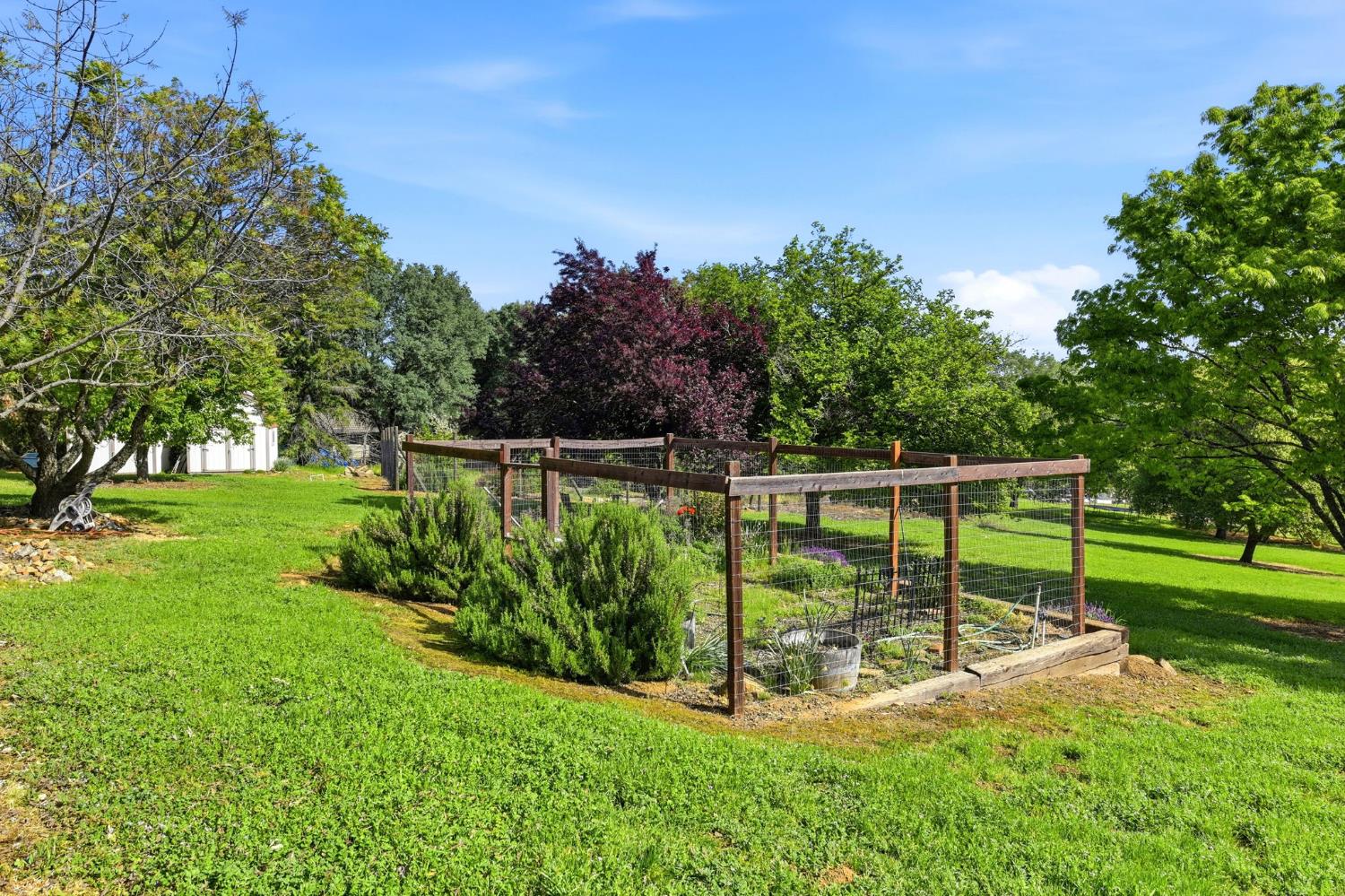 1790 Deer Valley Road Rescue, CA 95672 - Photo 63 of 83