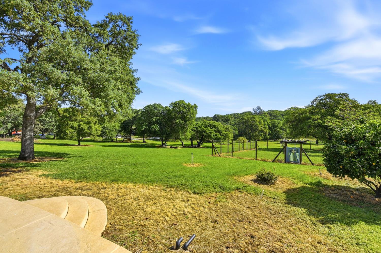 1790 Deer Valley Road Rescue, CA 95672 - Photo 10 of 83