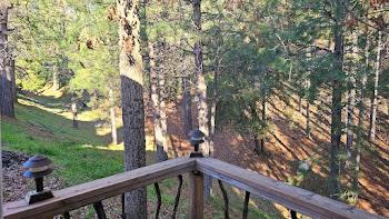 21200 Todd Valley Road, Unit 111 Foresthill, CA 95631 - Photo 18 of 23