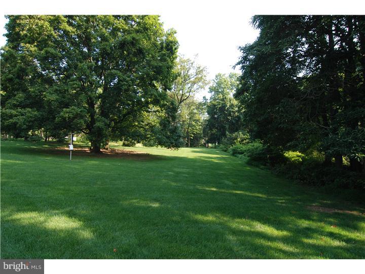 2915 Leiszs Bridge Road Reading, PA 19605 - Photo 23 of 25 Back Yard