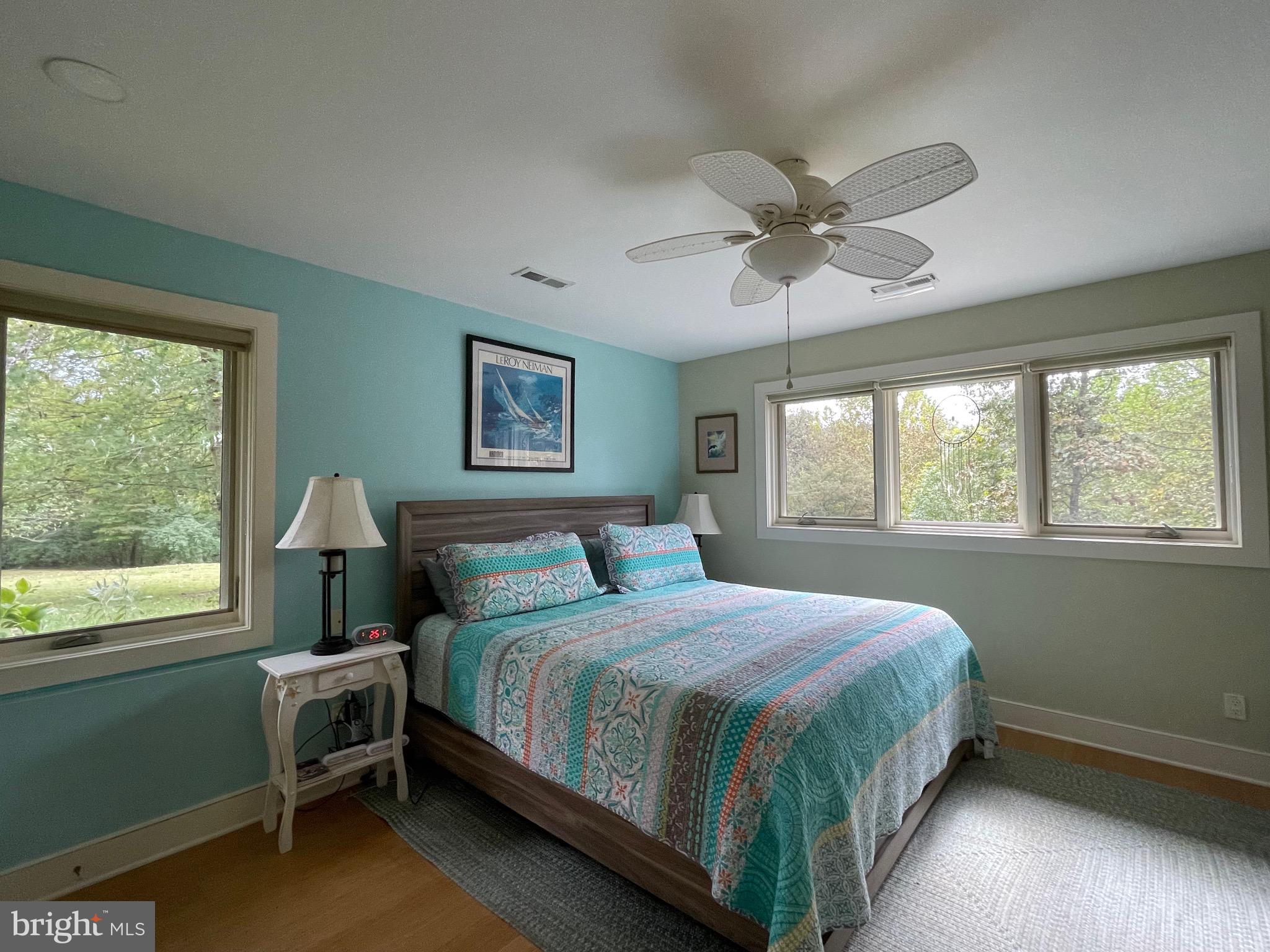 821 Long Mountain Road Washington, VA 22747 - Photo 11 of 24 a bedroom with a large bed and a chandelier fan