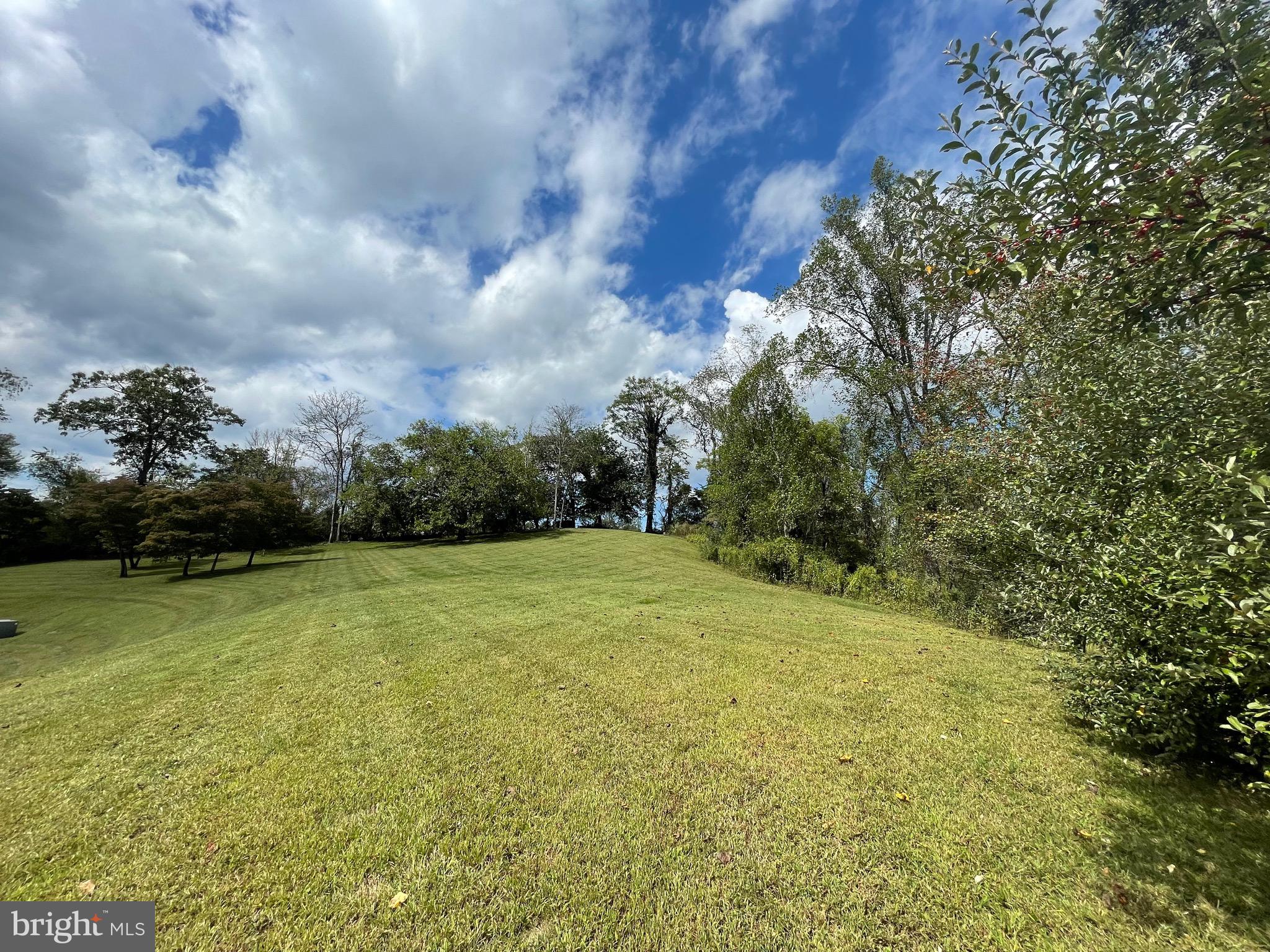 821 Long Mountain Road Washington, VA 22747 - Photo 24 of 24 a view of a yard with an trees