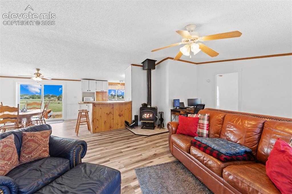 6245 Peerless Farms Road Peyton, CO 80831 - Photo 7 of 42