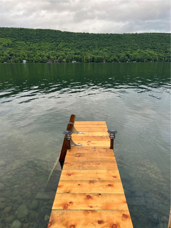 14838 West Lake Road Pulteney, NY 14840 - Photo 42 of 50