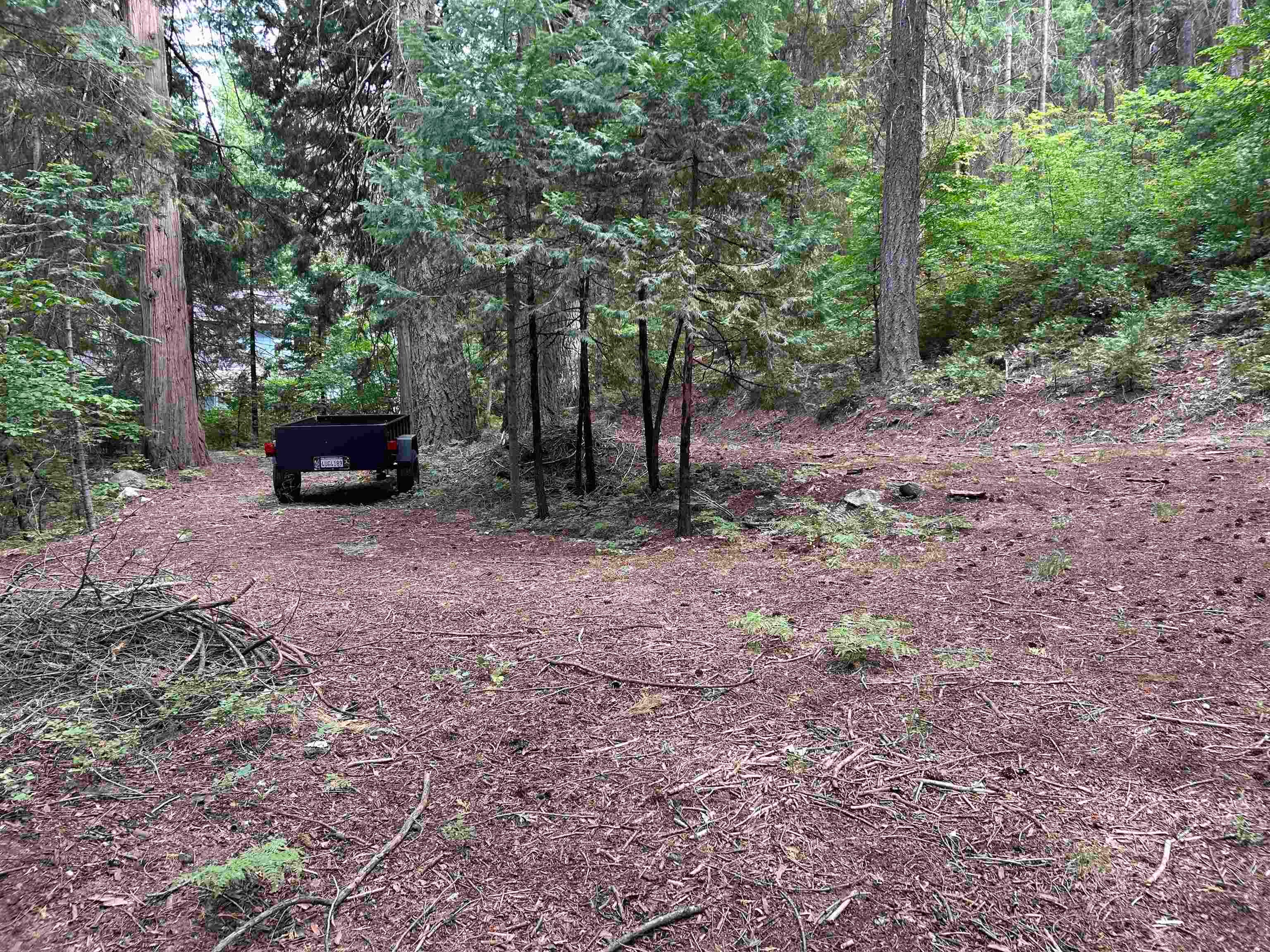 Lot 9 Timber Hills Road Mount Shasta, CA 96067 - Photo 5 of 8 Gallery Image 5