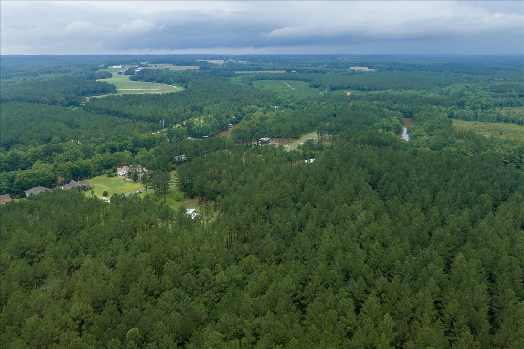 28786 Harbor Road Andalusia, AL 36421 - Photo 70 of 83