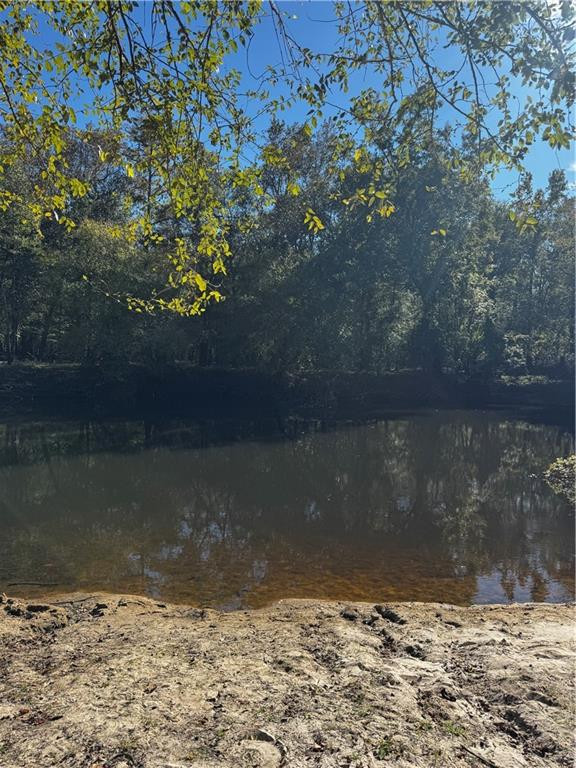 91-92 93 & Tract 544 Spikes Road Reidsville, GA 30453 - Photo 1 of 1 Photo 1