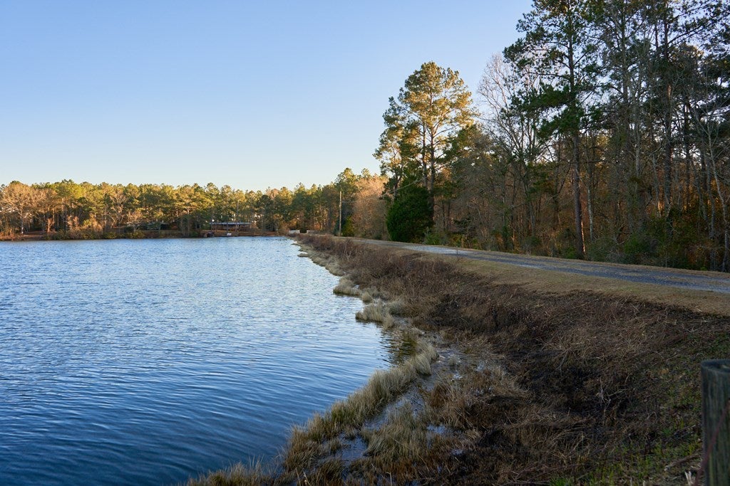 328 Moore Pond Road Quitman, GA 31643 - Photo 36 of 48 Gallery Image 36