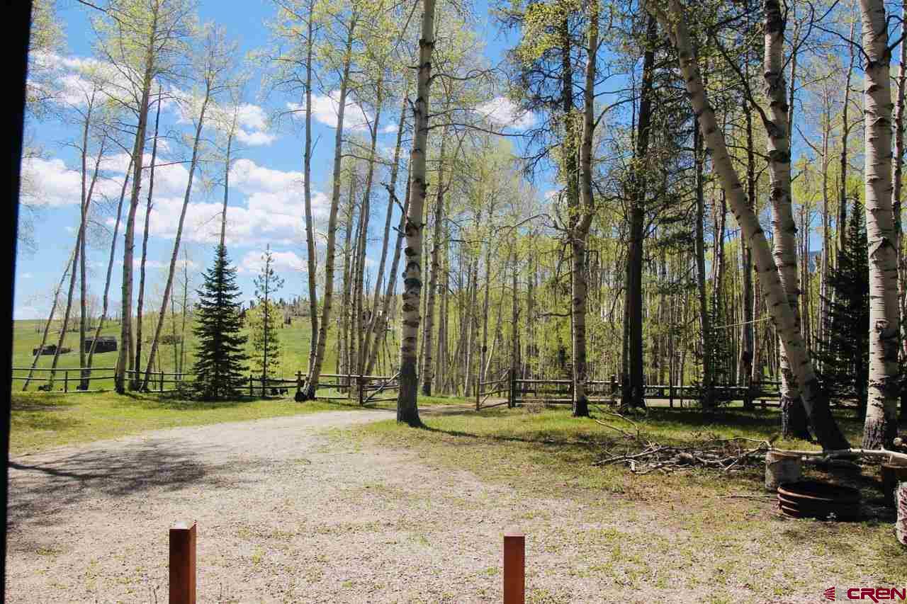 519 Sioux Road, Unit WILDERNESS STREAMS Gunnison, CO 81230 - Photo 5 of 34 Gallery Image 5