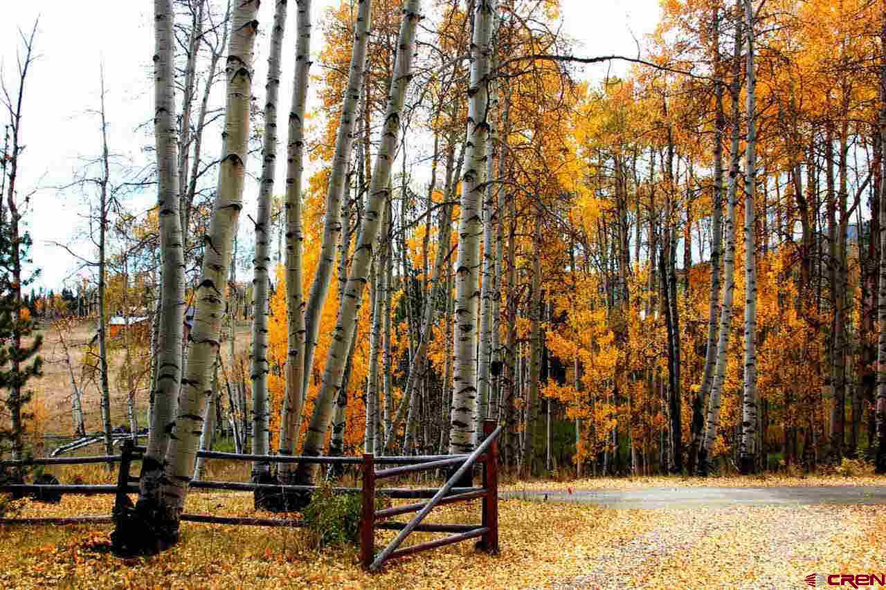 519 Sioux Road, Unit WILDERNESS STREAMS Gunnison, CO 81230 - Photo 6 of 34 Gallery Image 6