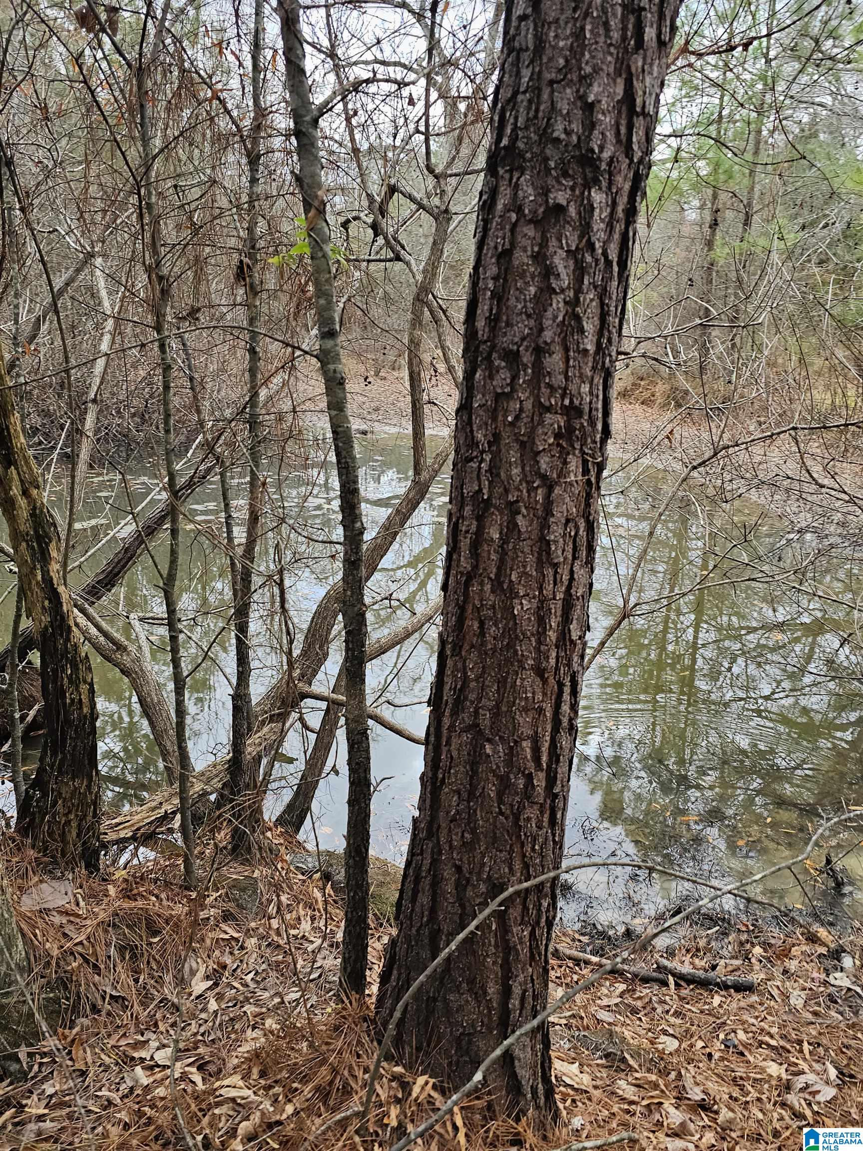 0 County Road 724 Calera, AL 35040 - Photo 4 of 18
