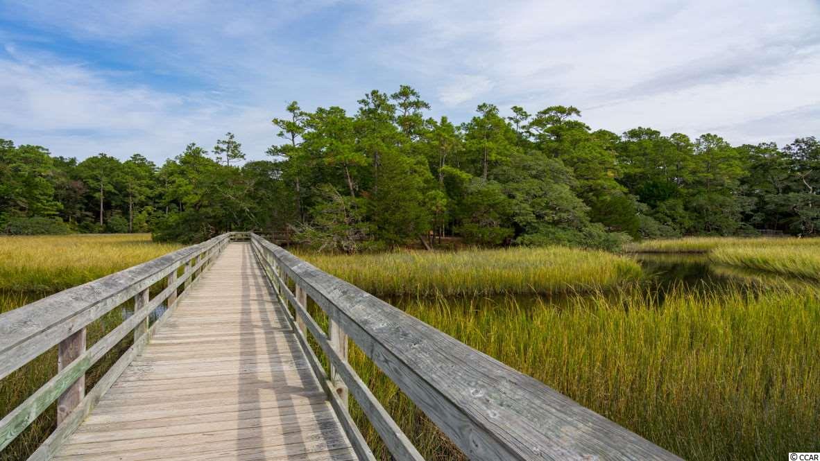 131 Juniata Loop Little River, SC 29566 - Photo 36 of 40
