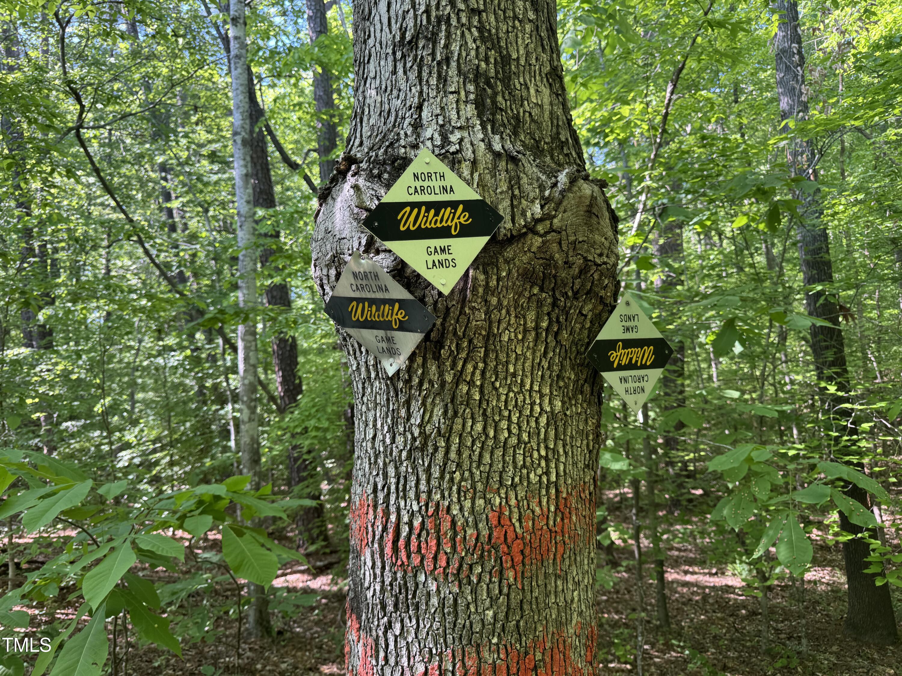 1000 Hopson Road Extension Durham, NC 27713 - Photo 14 of 18 a sign that is on a tree