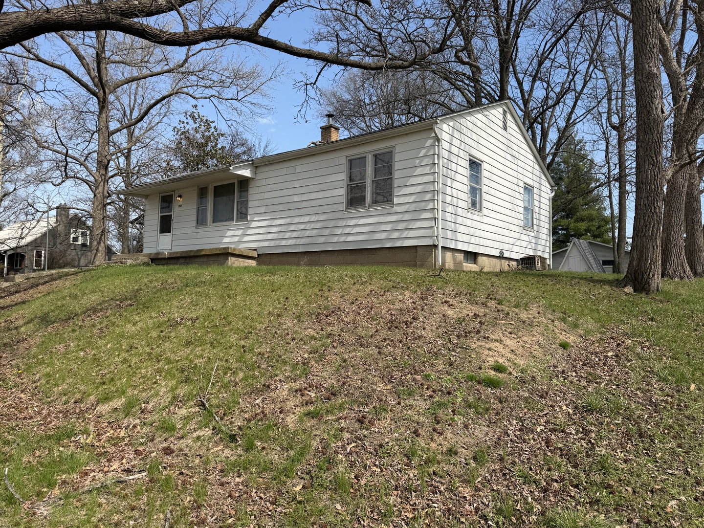206 South 1st Street Pinckneyville, IL 62274 - Photo 4 of 13