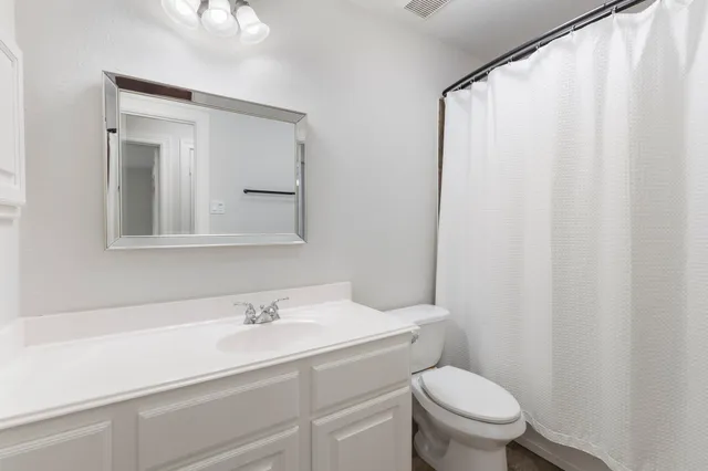 a bathroom with a sink a toilet and shower curtain