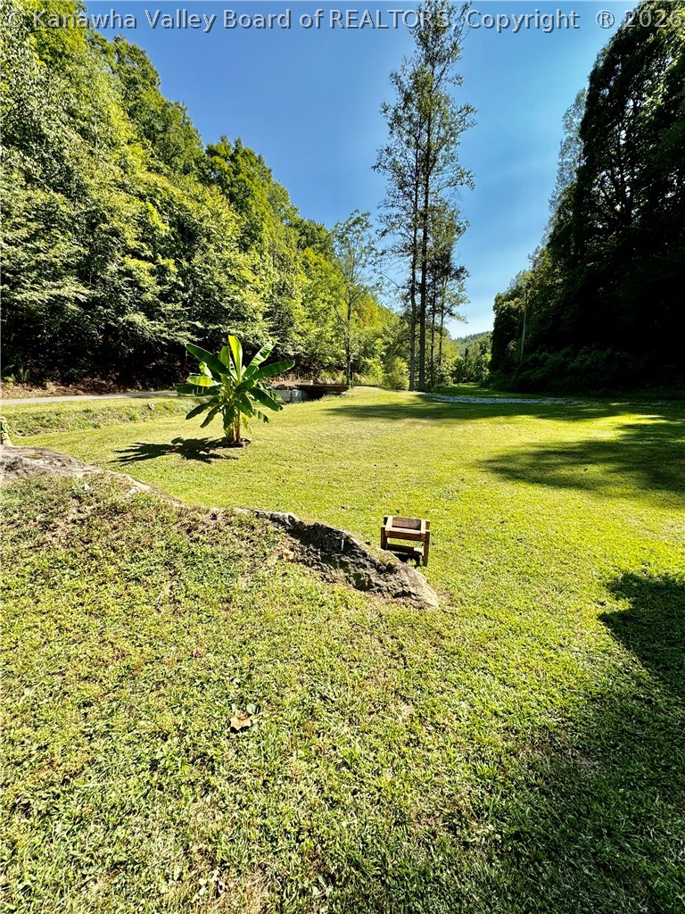264 Barberry Road Ranger, WV 25557 - Photo 30 of 31 Gallery Image 30