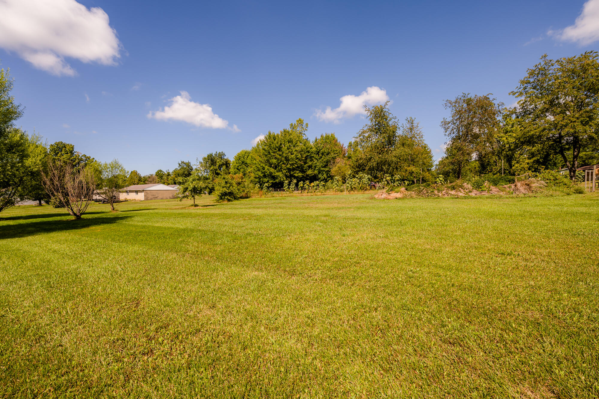 Hillandale-108